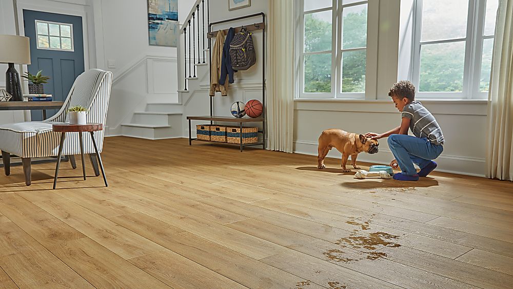 Durable wood-look laminate flooring in a family living space with a child and dog