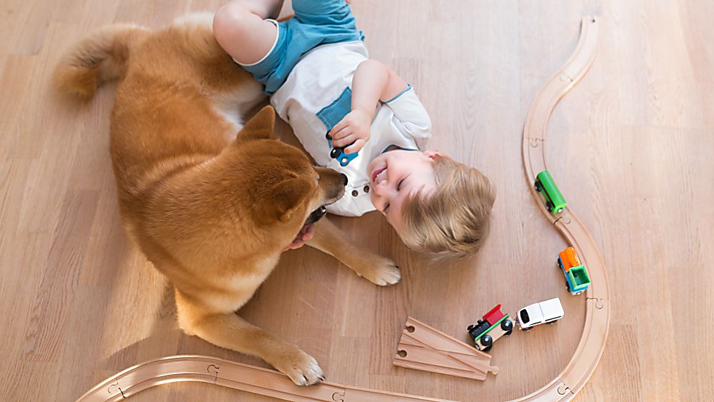 Laminate flooring styles available at Macco's Floor Covering Center in Green Bay, WI